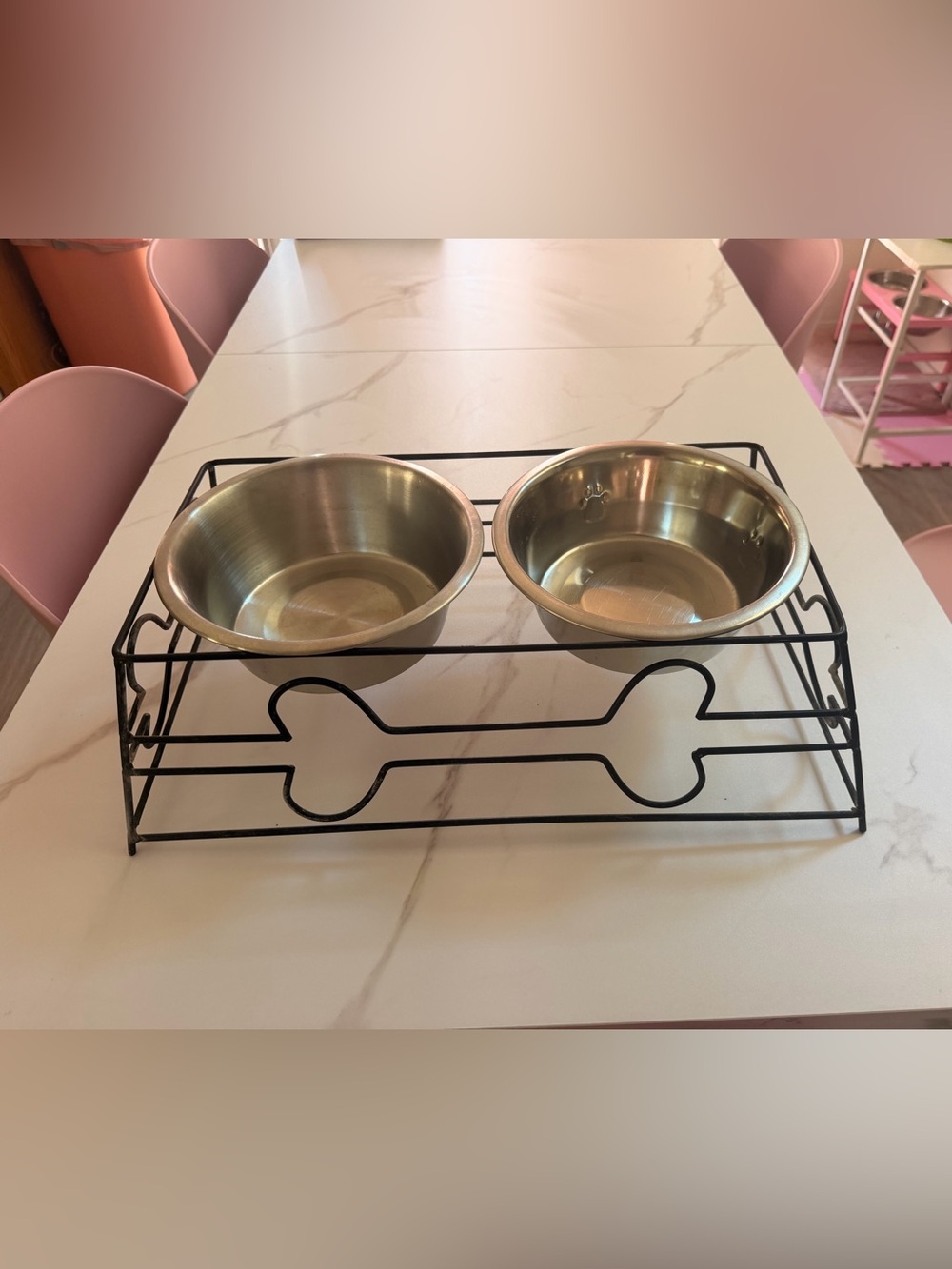 Stainless Steel Double Dog Bowl with Black Metal Stand - Silver/Black